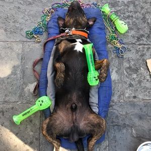 Meet your Posher, Jennifer